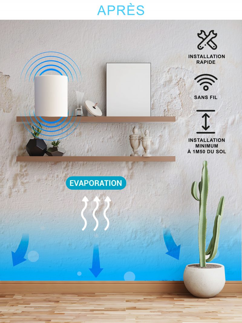 Dispositivo di asciugatura delle pareti e trattamento dell'umidità delle pareti