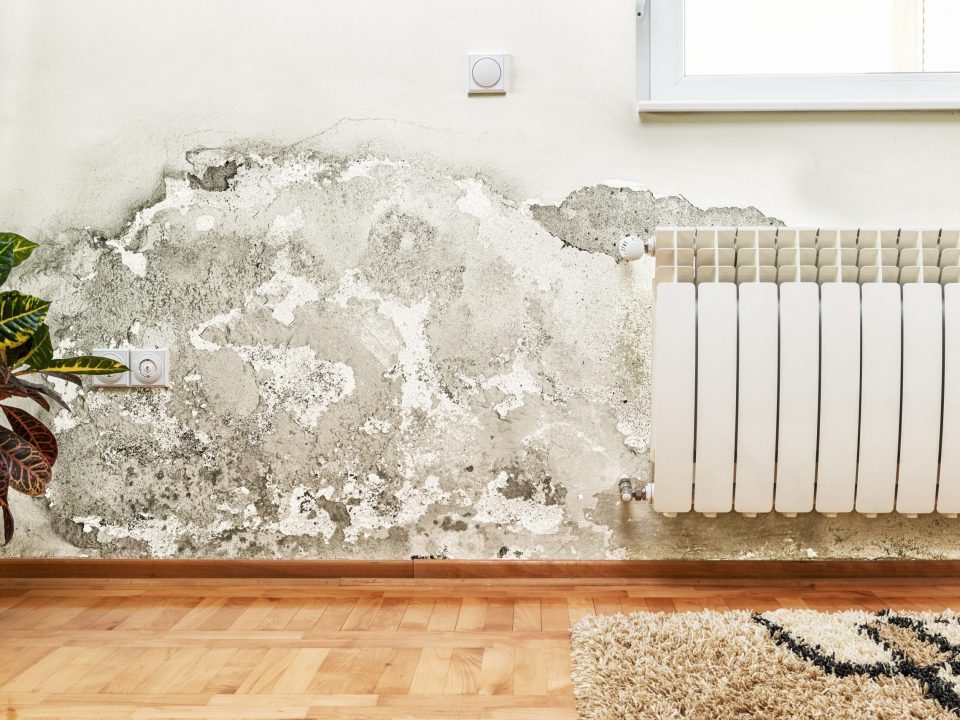 remontée capillaire