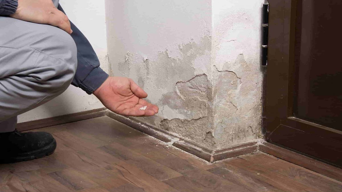 anti damp device rising damp