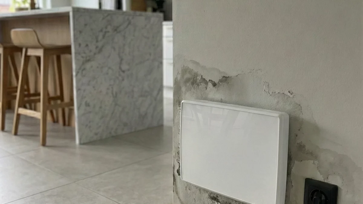 Appareil de traitement d'humidité installé sur mur en pierre humide