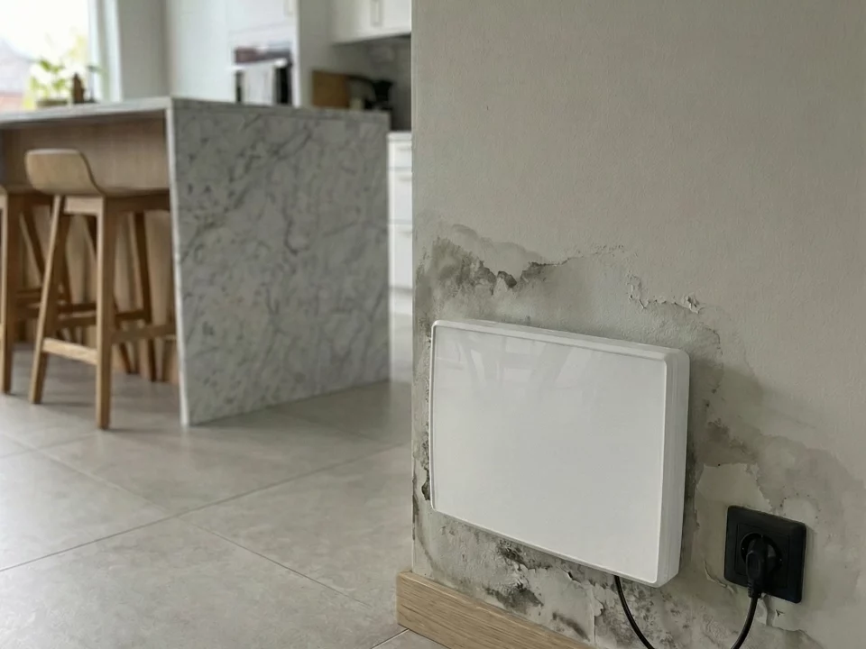 Appareil de traitement d'humidité installé sur mur en pierre humide