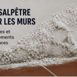 salpetre-sur-les-murs