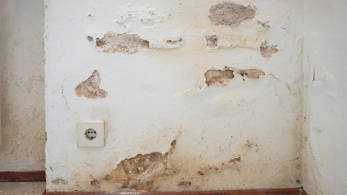 Plinthe qui gonfle et enduit qui s’effrite au bas d’un mur