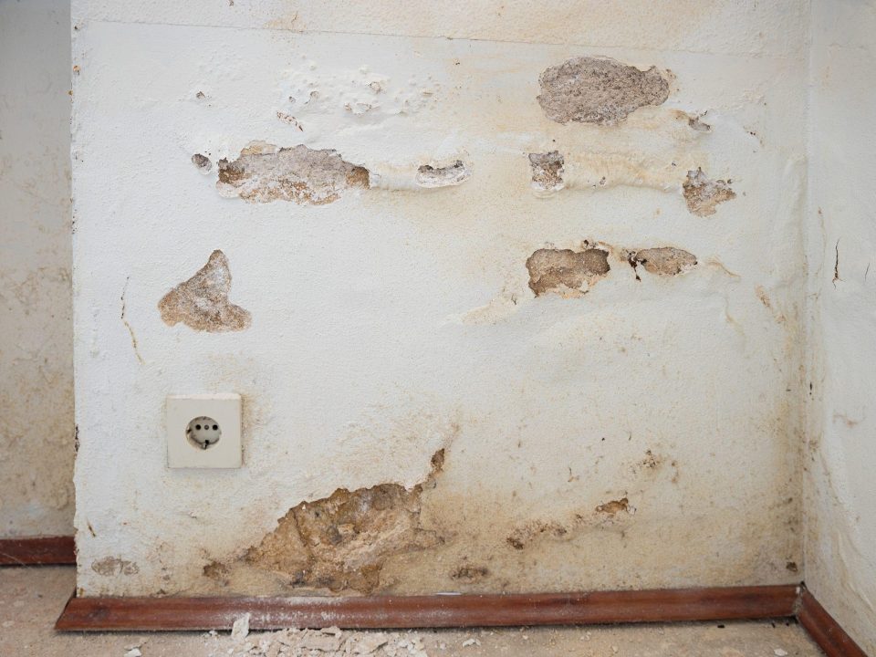 Plinthe qui gonfle et enduit qui s’effrite au bas d’un mur